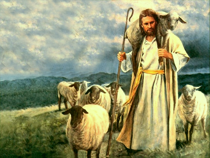 600-Jesus-Shepherd30