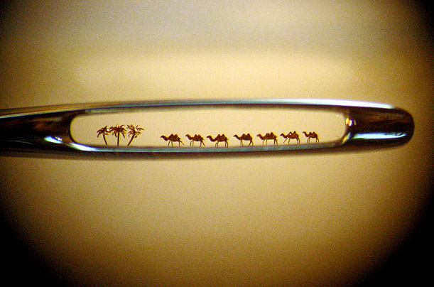 camel-needle