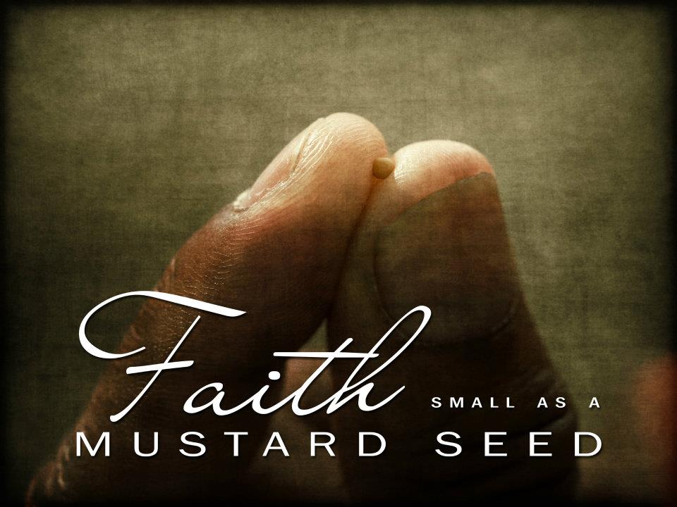 faith-small-as-a-mustard-seed