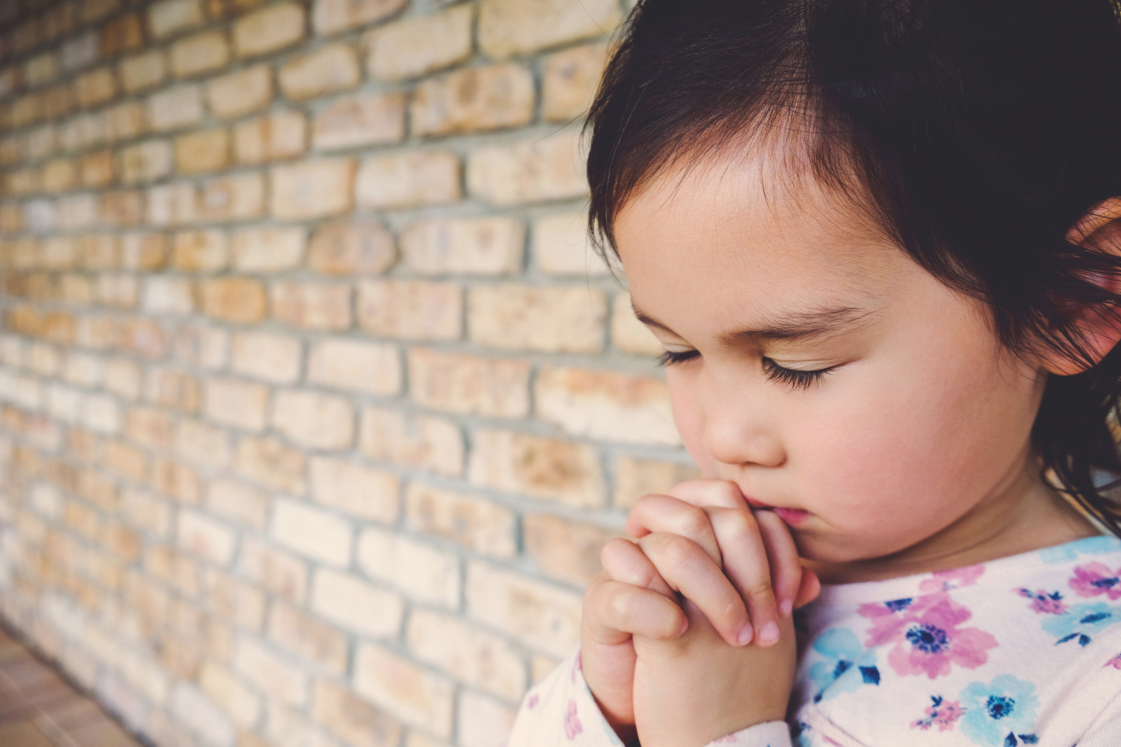 little multiethnic girl praying, kid, child pray concept,shallow