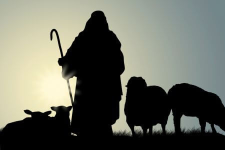 我的羊聽我的聲音，我也認識他們，他們也跟隨我；我賜予他們永生，他們永遠不會喪亡
