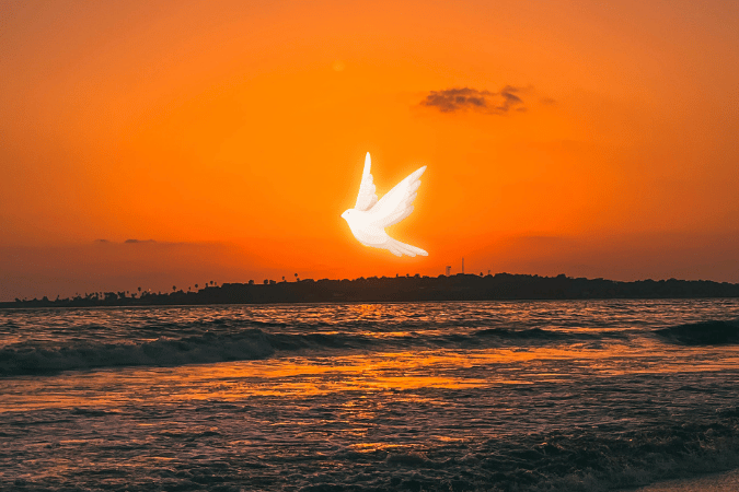 如今已經出了許多假基督，由此我們就知道現在是最末的時期了。