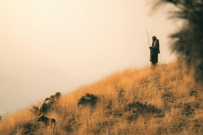 我的羊聽我的聲音，我也認識他們